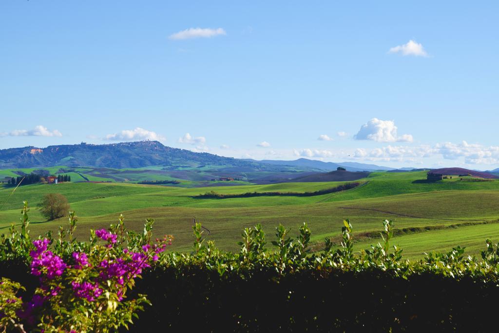 Agriturismo San Francesco Amalia And Anna Orciatico Dış mekan fotoğraf