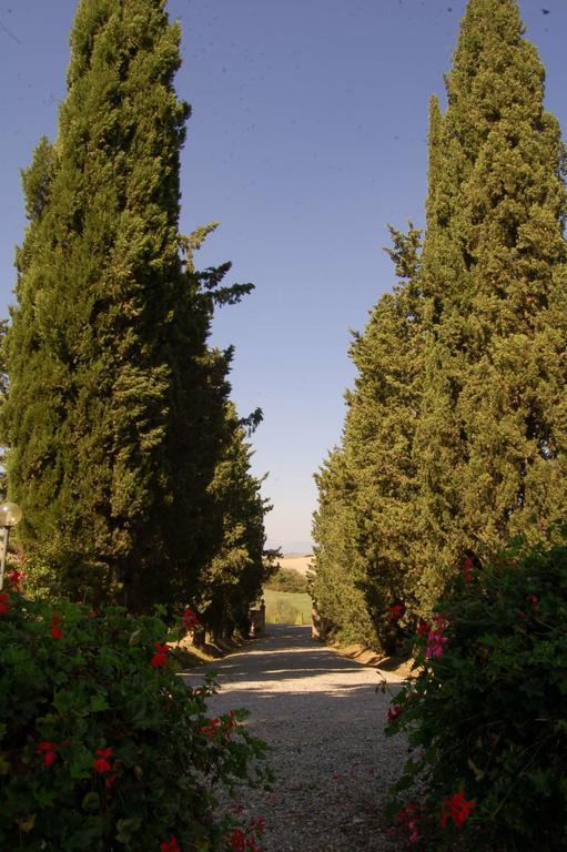 Agriturismo San Francesco Amalia And Anna Orciatico Dış mekan fotoğraf