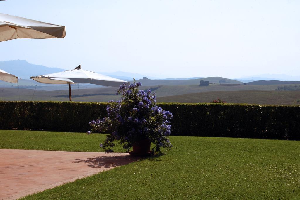 Agriturismo San Francesco Amalia And Anna Orciatico Dış mekan fotoğraf