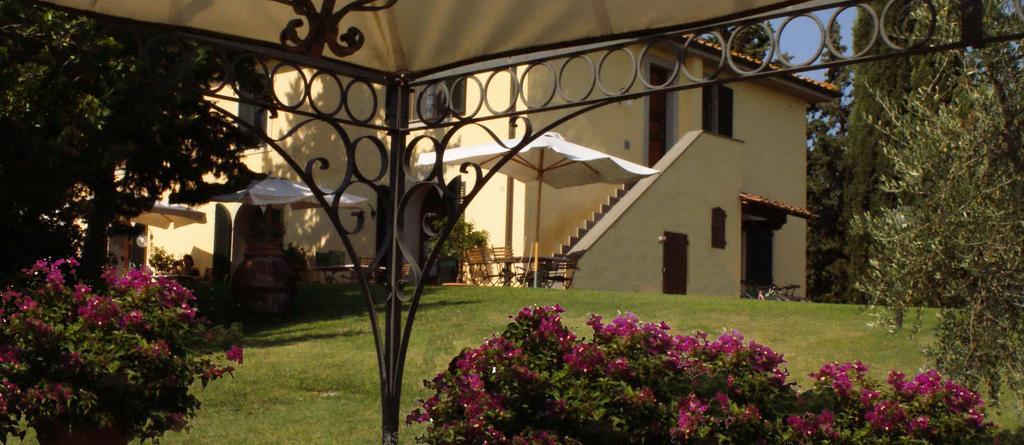 Agriturismo San Francesco Amalia And Anna Orciatico Dış mekan fotoğraf