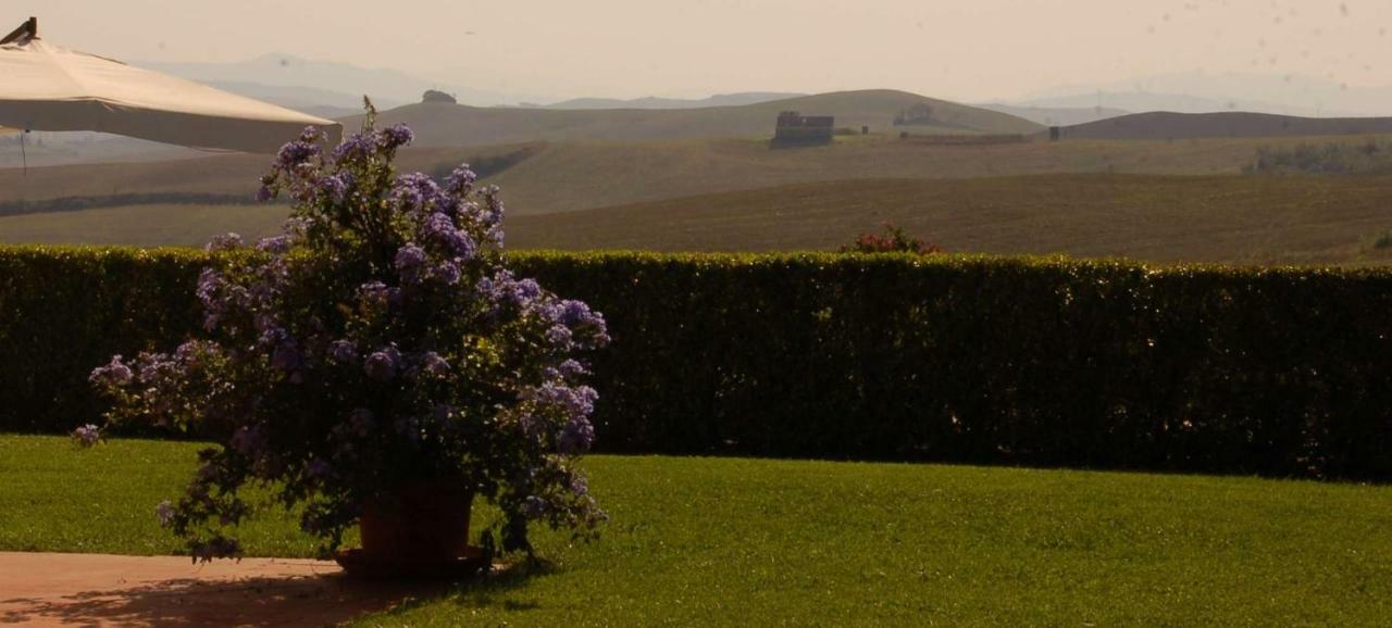 Agriturismo San Francesco Amalia And Anna Orciatico Dış mekan fotoğraf